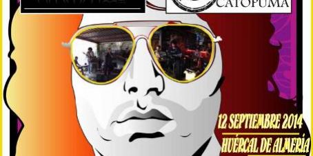 317a2b9263bb82d8c0e5f844cc4040dfCARTEL CONCIERTO BENEFICO AEMA WEB