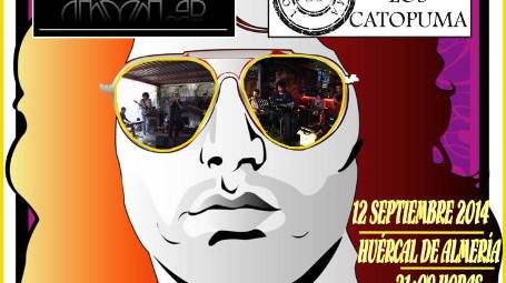 317a2b9263bb82d8c0e5f844cc4040dfCARTEL CONCIERTO BENEFICO AEMA WEB