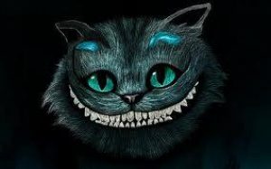 LA SONRISA DEL GATO