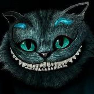 La Sonrisa del Gato - Carmen Rubio