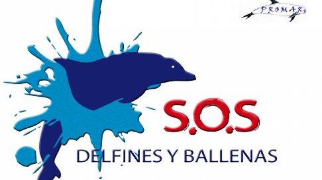 La mirada del delfín viajero - PROMAR