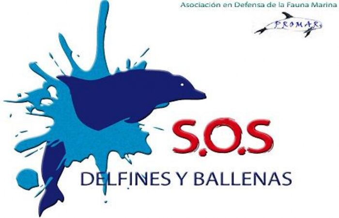 La mirada del delfín viajero - PROMAR