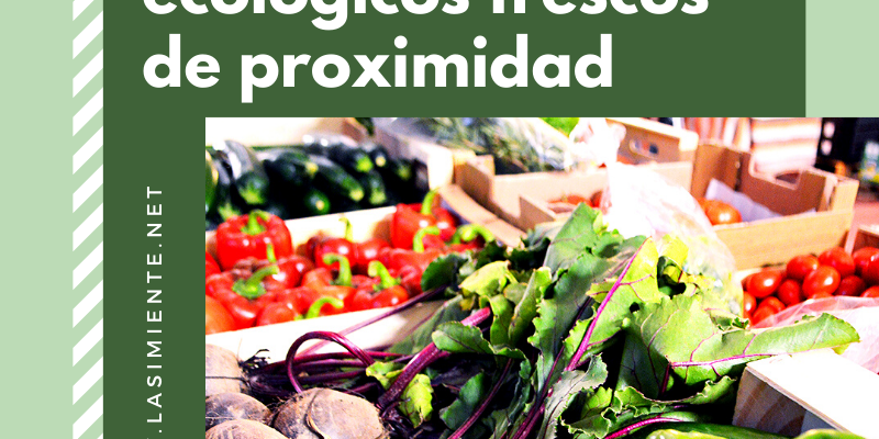 78597799 2569846873100702 3639244468437123072 n