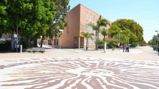 ual-campus opt