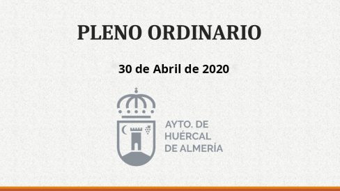 Pleno ordinario 2020-04-30