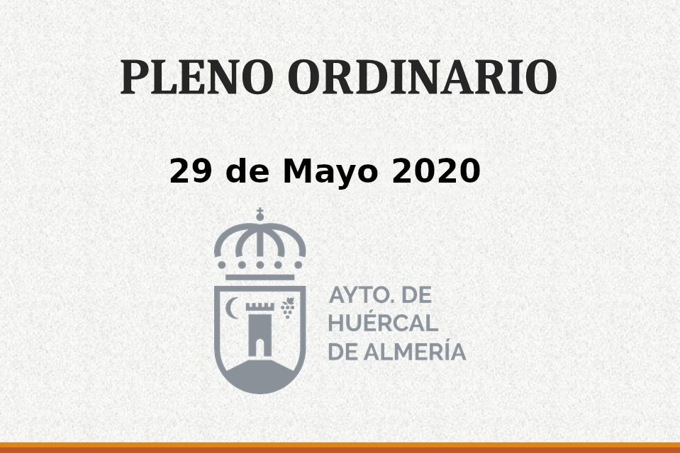 Pleno Ordinario 29 de Mayo 2020