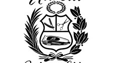 descarga