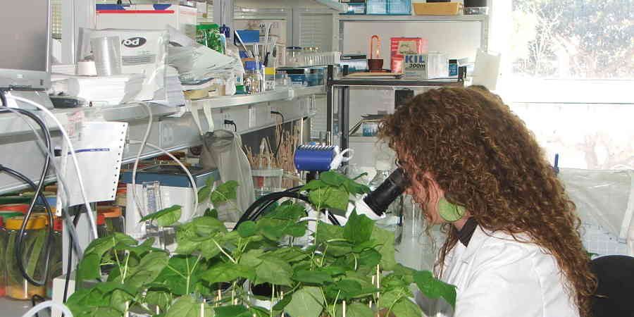 upct-investigacion-agronomos-agricultura (1)