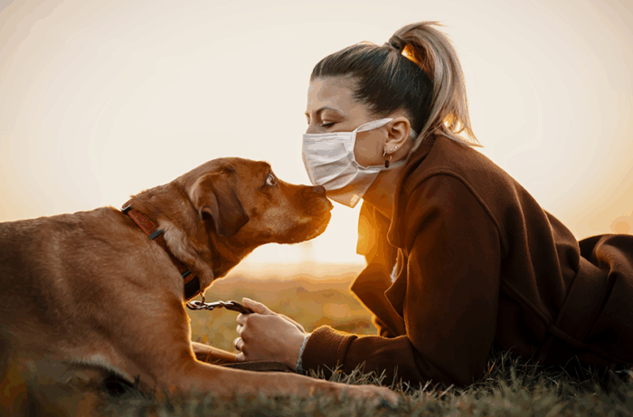 antropo-zoonosis-2020