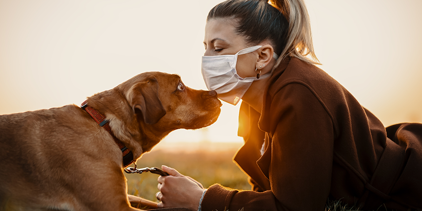antropo-zoonosis-2020