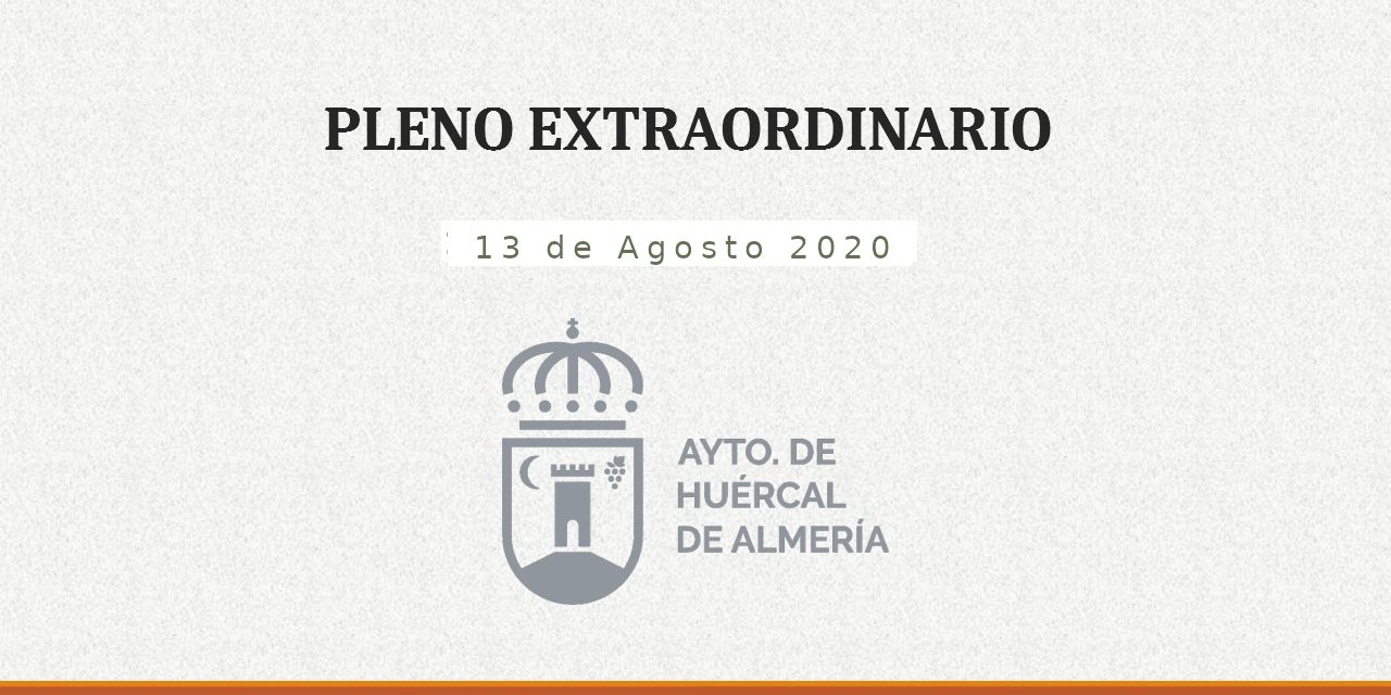 Portada-pleno-2020-08-13