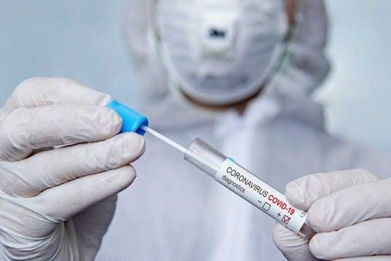 file-20200610-34692-1bplgjf-1