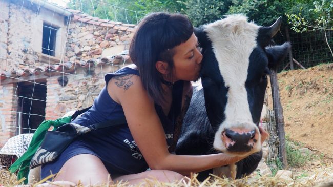 verano vegano
