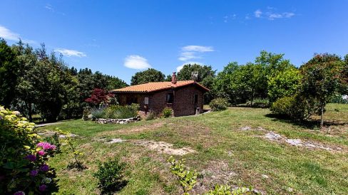 h.8113937.795.500.0.ffffff.3c7707f0