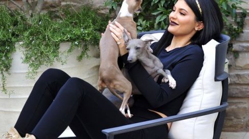 kylie-jenner-investigada-por-la-excesiva-delgadez-de-uno-de-sus-perros 03