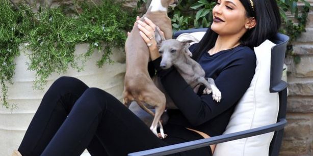 kylie-jenner-investigada-por-la-excesiva-delgadez-de-uno-de-sus-perros 03