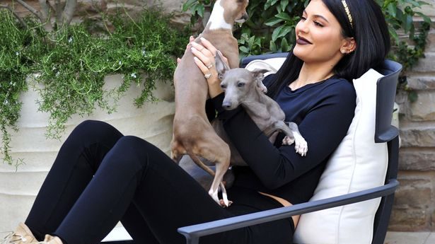 kylie-jenner-investigada-por-la-excesiva-delgadez-de-uno-de-sus-perros 03