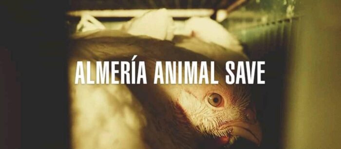 81690565 770697743422177 2872583885454049280 o