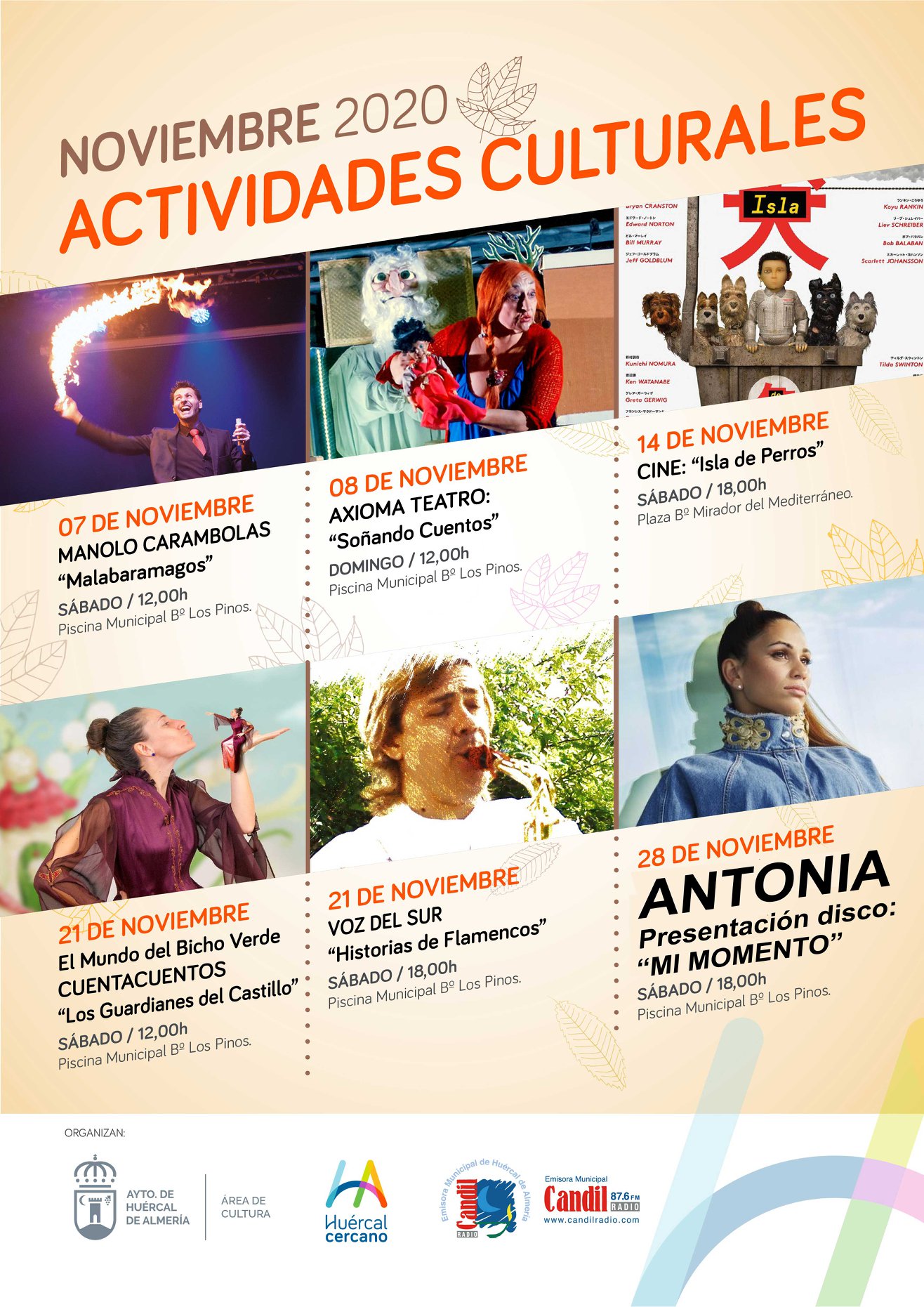 Actividades Noviembre 2020