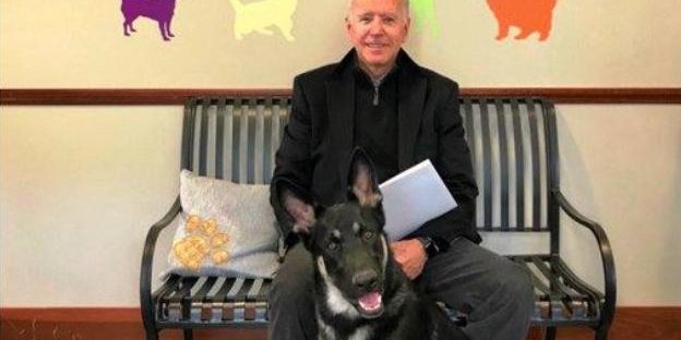 Biden-Perro-RdTwZvyEUHsxyIAgnSurB5L-624×385@RC