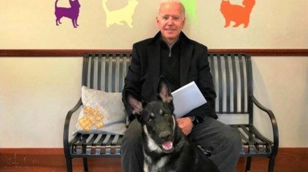 Biden-Perro-RdTwZvyEUHsxyIAgnSurB5L-624×385@RC