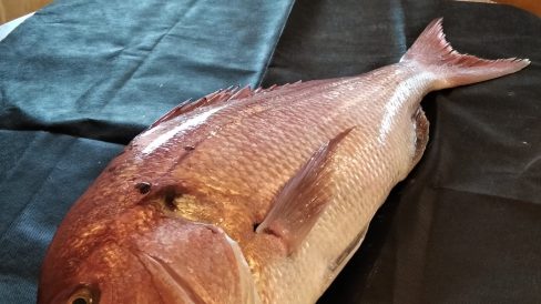 a10caf25-7e21-4405-baa7-994dcd815a16