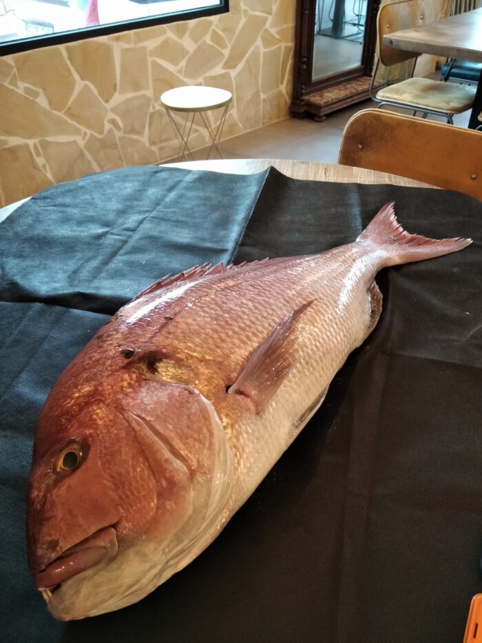 a10caf25-7e21-4405-baa7-994dcd815a16