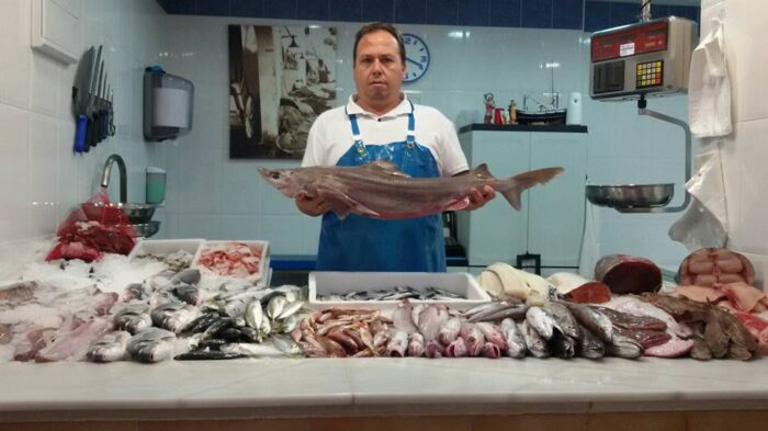 12106769 1641927629392048 2514169004787945912 n