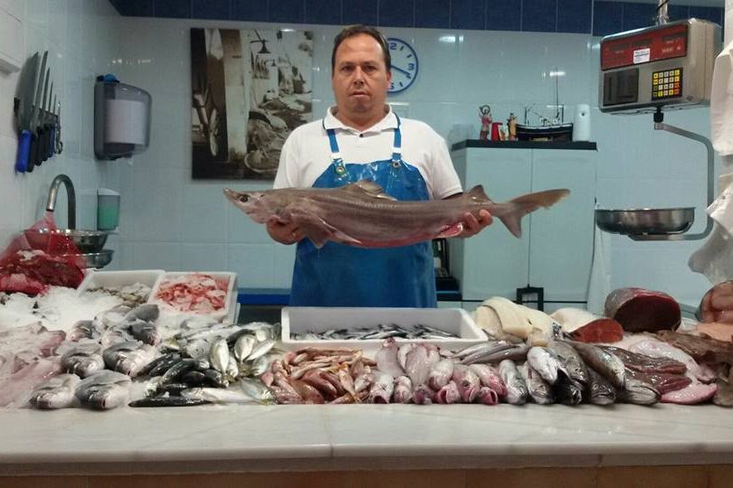 12106769 1641927629392048 2514169004787945912 n