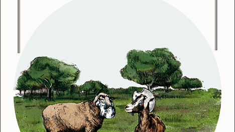 Cervantes-para-cabras-Marx-para-ovejas-web