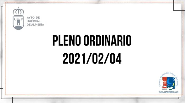 Portada Pleno 2021-02-04