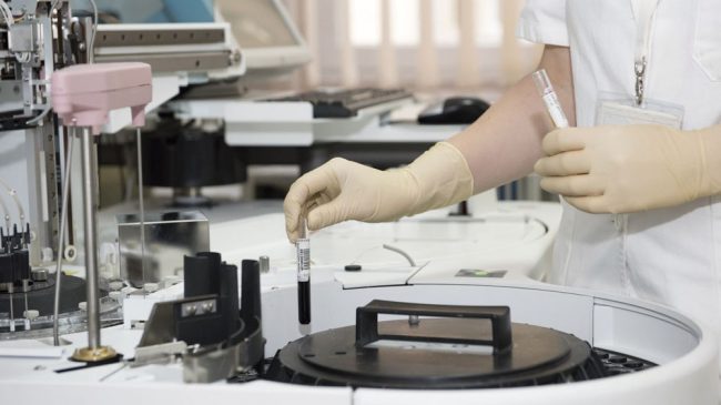 master-investigacion-ciencias-salud-ual