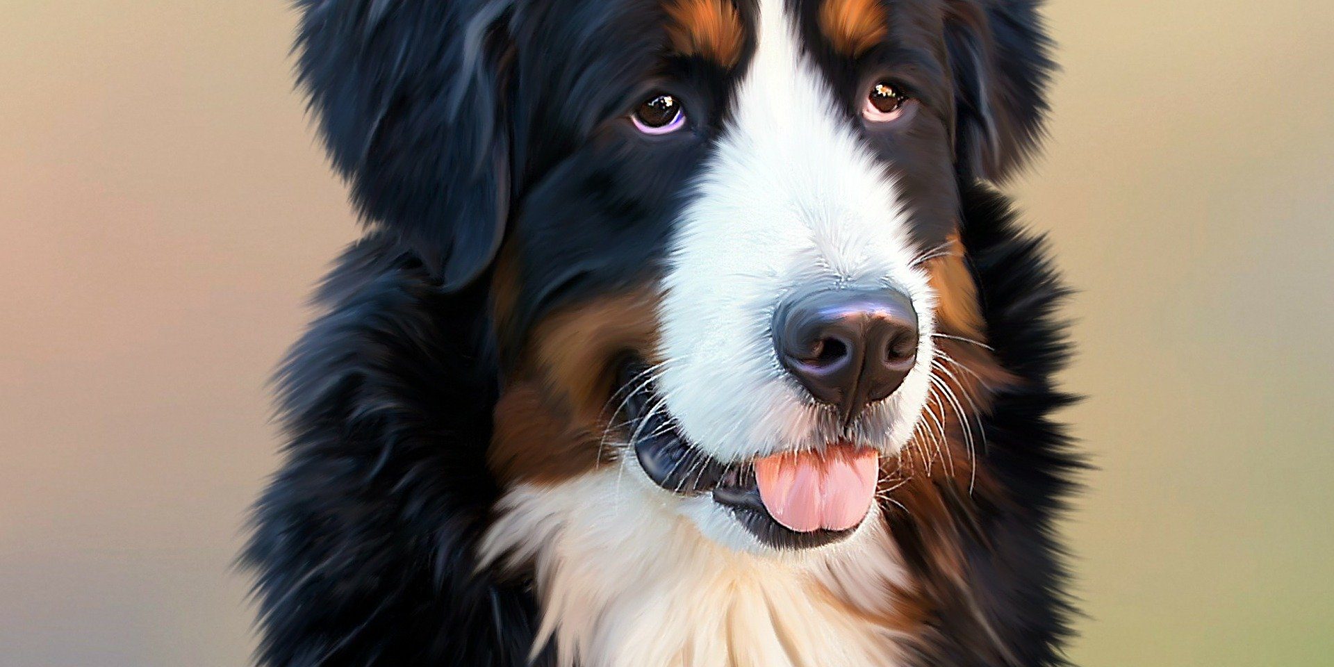 perro Perro