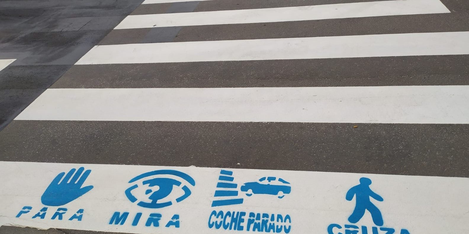 158856625 1087697935059565 5026865969392365141 o