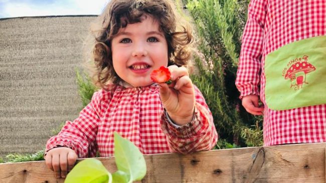 Hueros Urbanos- Guraderia los pinos