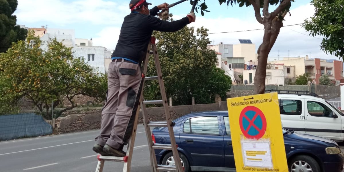 174257388 1113438292485529 7995860299351045446 n