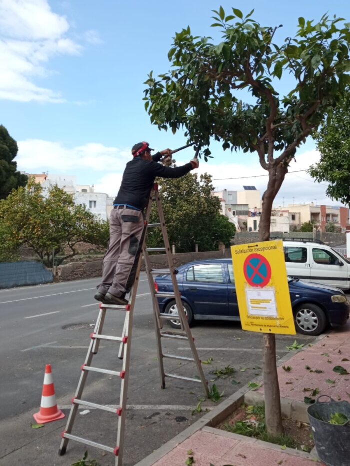 174257388 1113438292485529 7995860299351045446 n