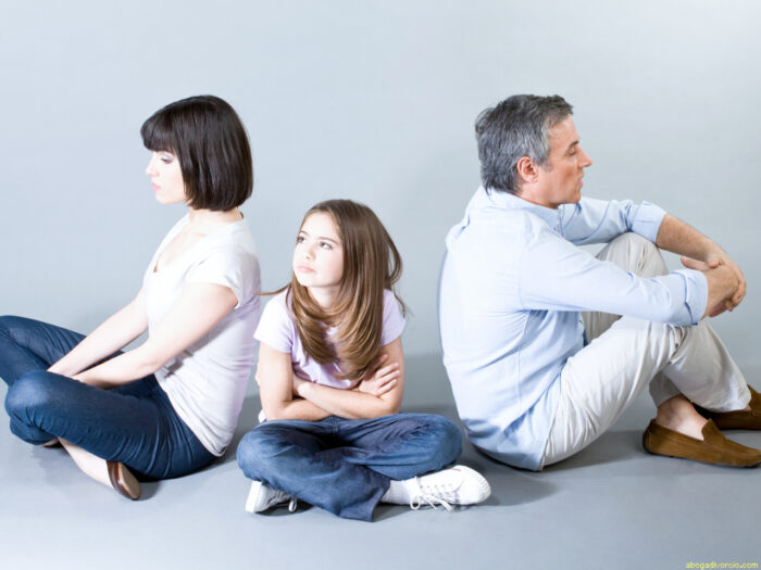 tipos-de-guardia-y-custodia-de-los-hijos-en-caso-de-divorcio.1280×960.1494927135