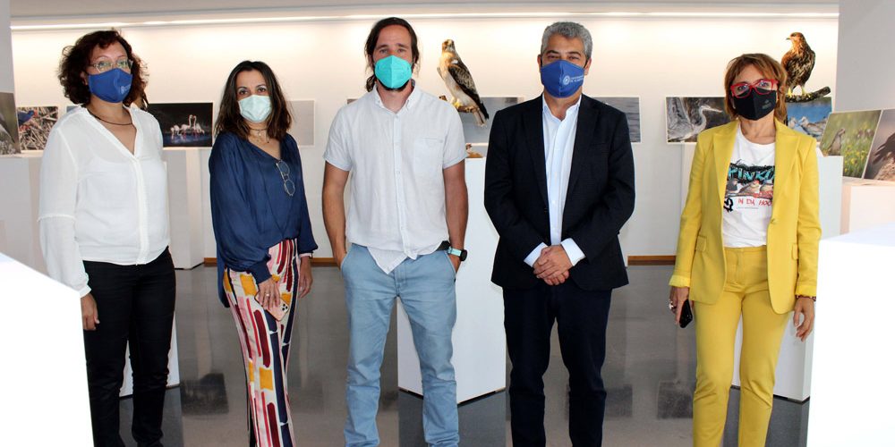 cecoual-exposicion