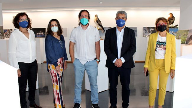 cecoual-exposicion
