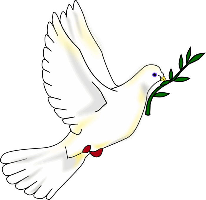 solo tres letras paz