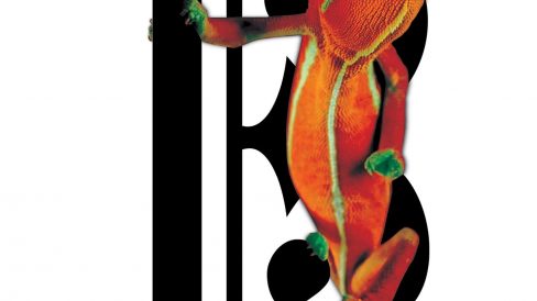 173513976 2869467883341690 4900450767004856099 n