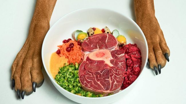 carne-cruda-perro-kpfD-U120779372723zjH-1248×770@RC