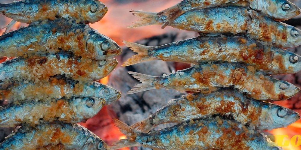 san-juan-sardinas