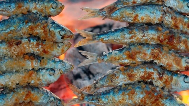 san-juan-sardinas