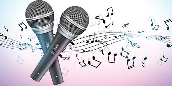 558Z Graphic 166 17 microphone