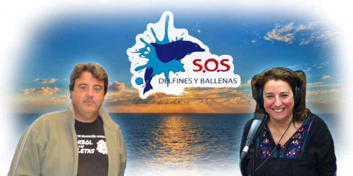 La mirada del delfín viajero - PROMAR