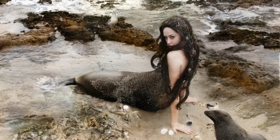 la historia de Selkie