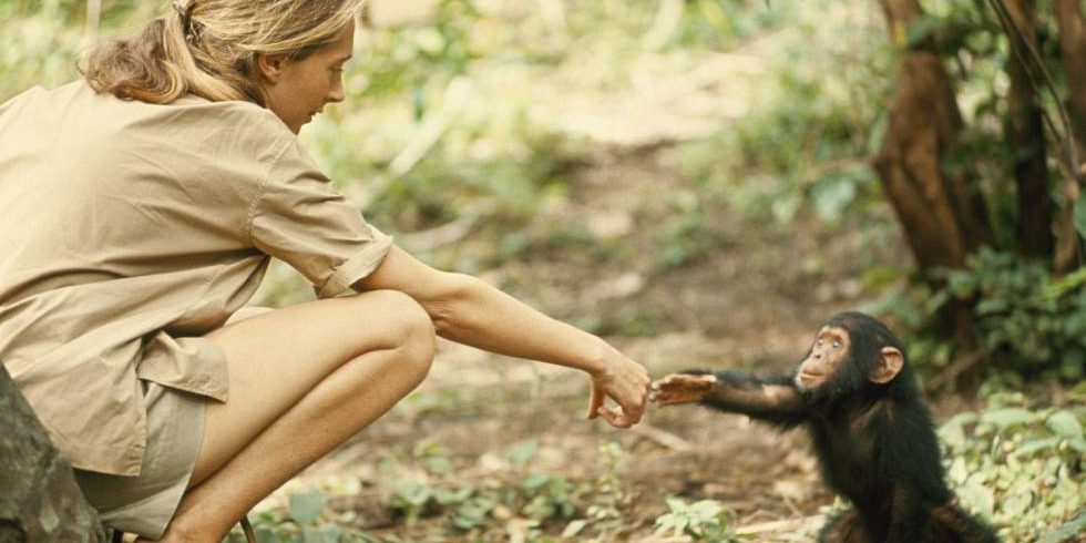 Jane Goodall Jane Goodall