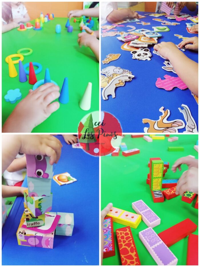 197830549 5807658565943382 196975964387775050 n